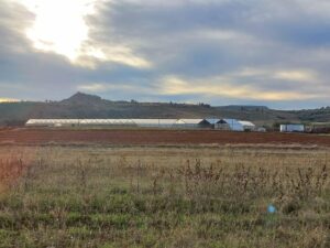 WeGROW Lesotho - Kingdom of Medical Cannabis