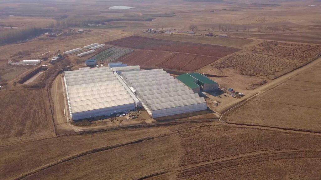 WeGROW Premium Cannabis Production and Processing in Lesotho
