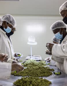 Potential Economic Benefits Lesotho