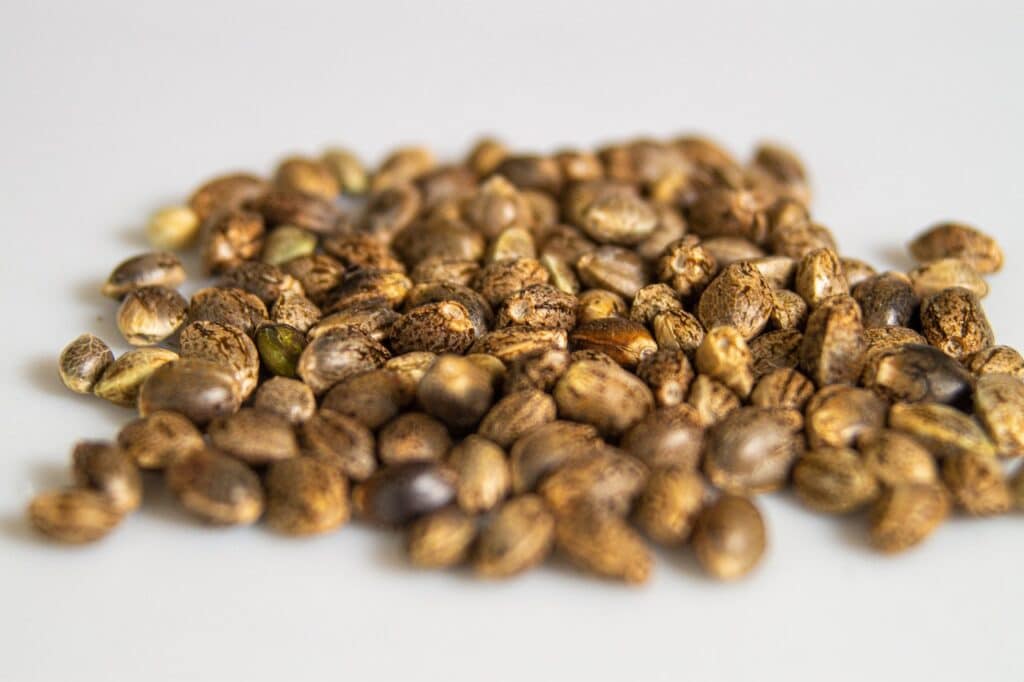 African Cannabis Seeds