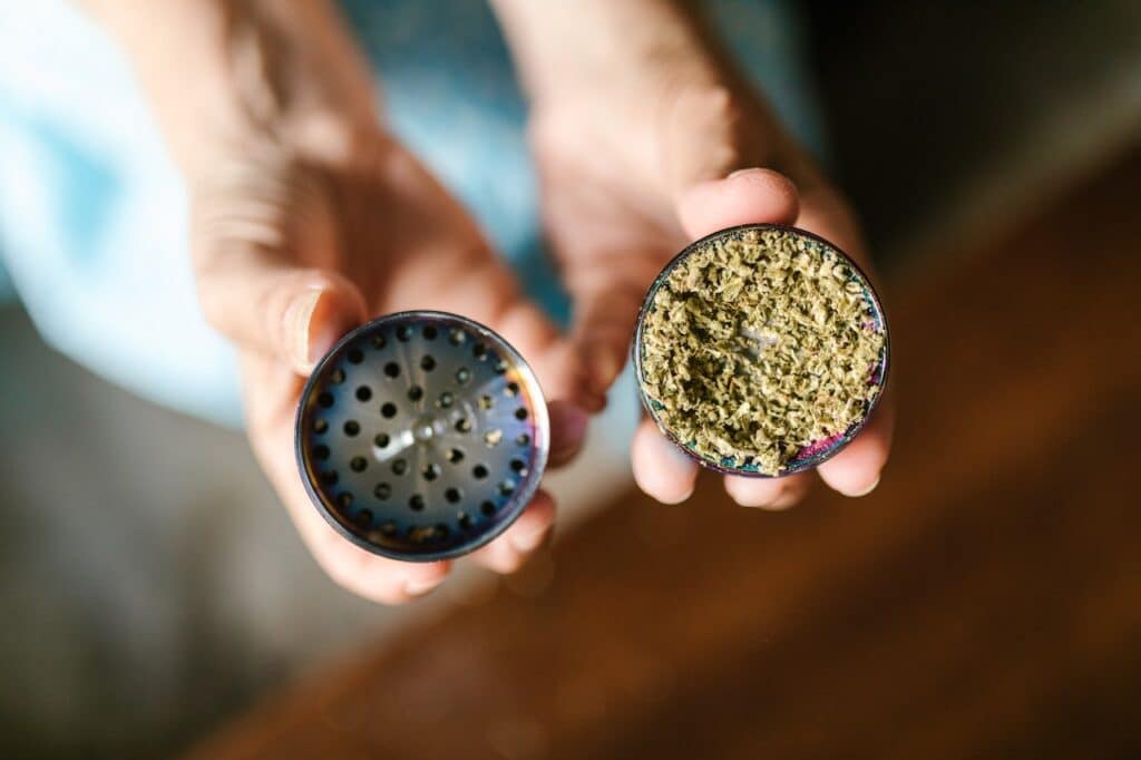 Export cannabis from Africa