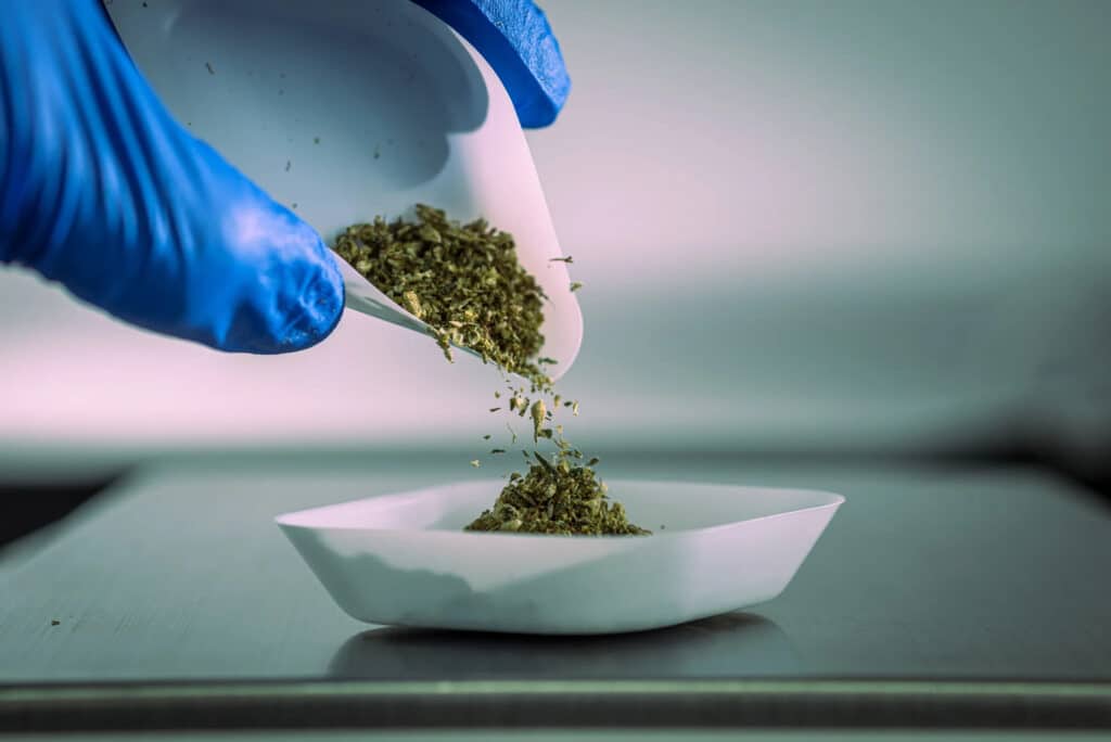 Medical Cannabis Lab Testing