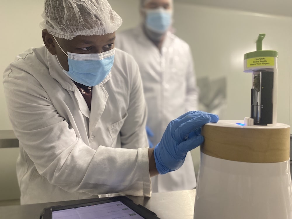 quality cannabis production