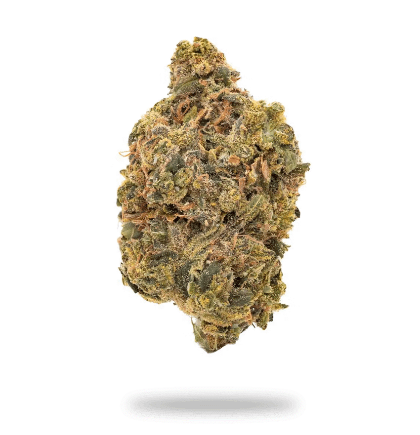 Acapulco Gold Cannabis Strain