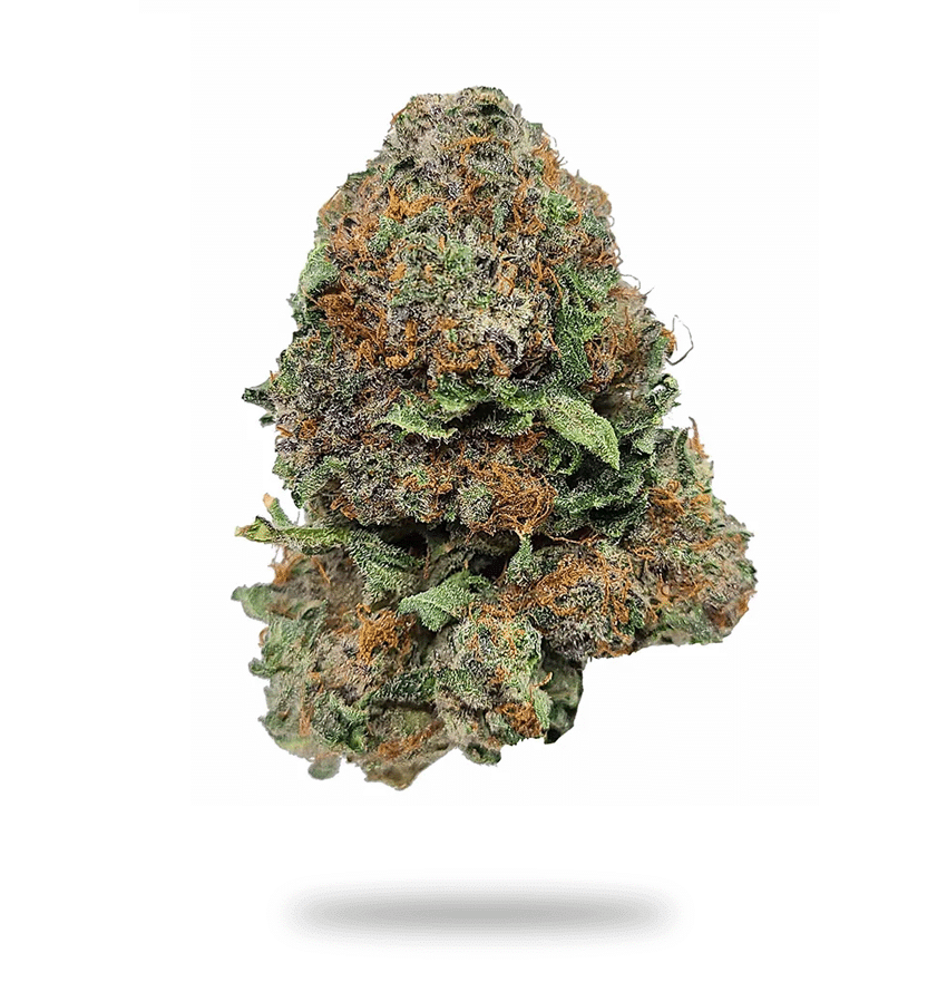 Chocolate Mint OG- Hybrid Strain