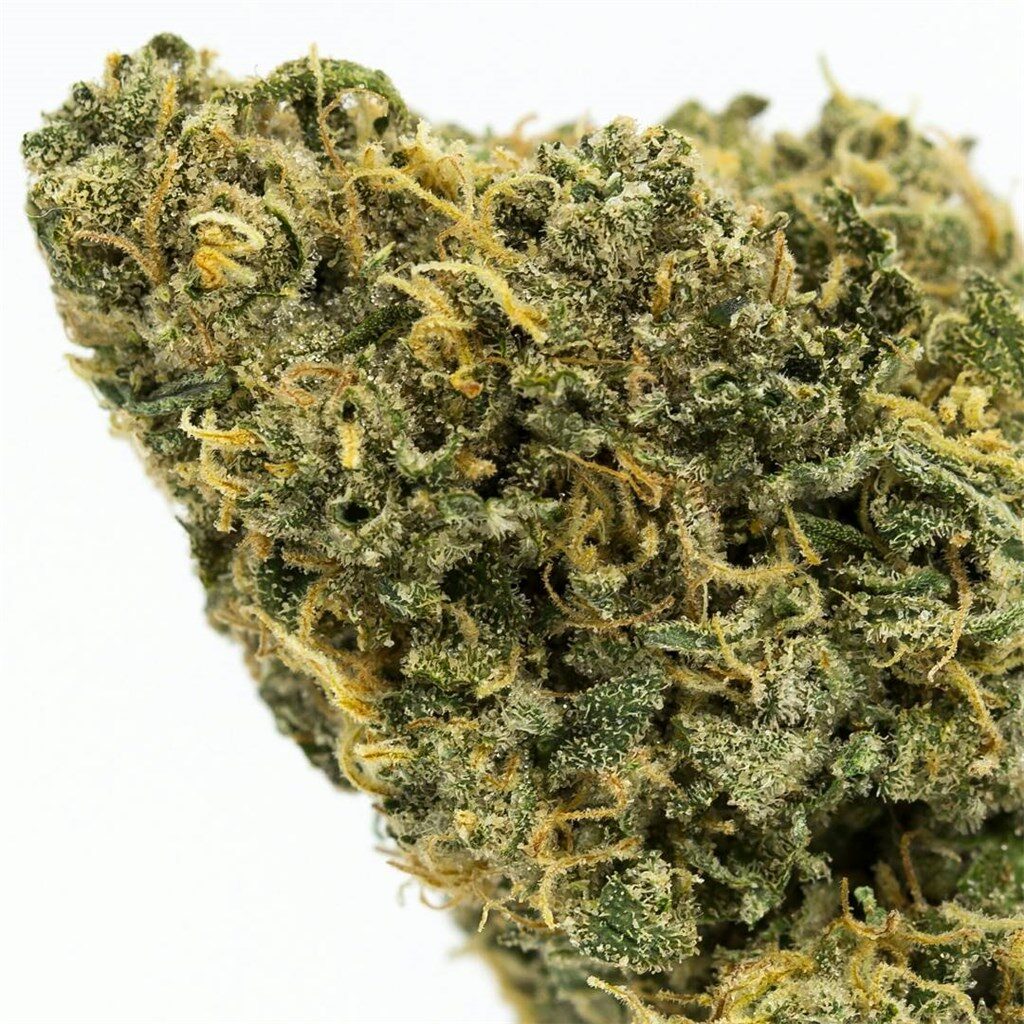 Durban Poison Source Strain from Africa
