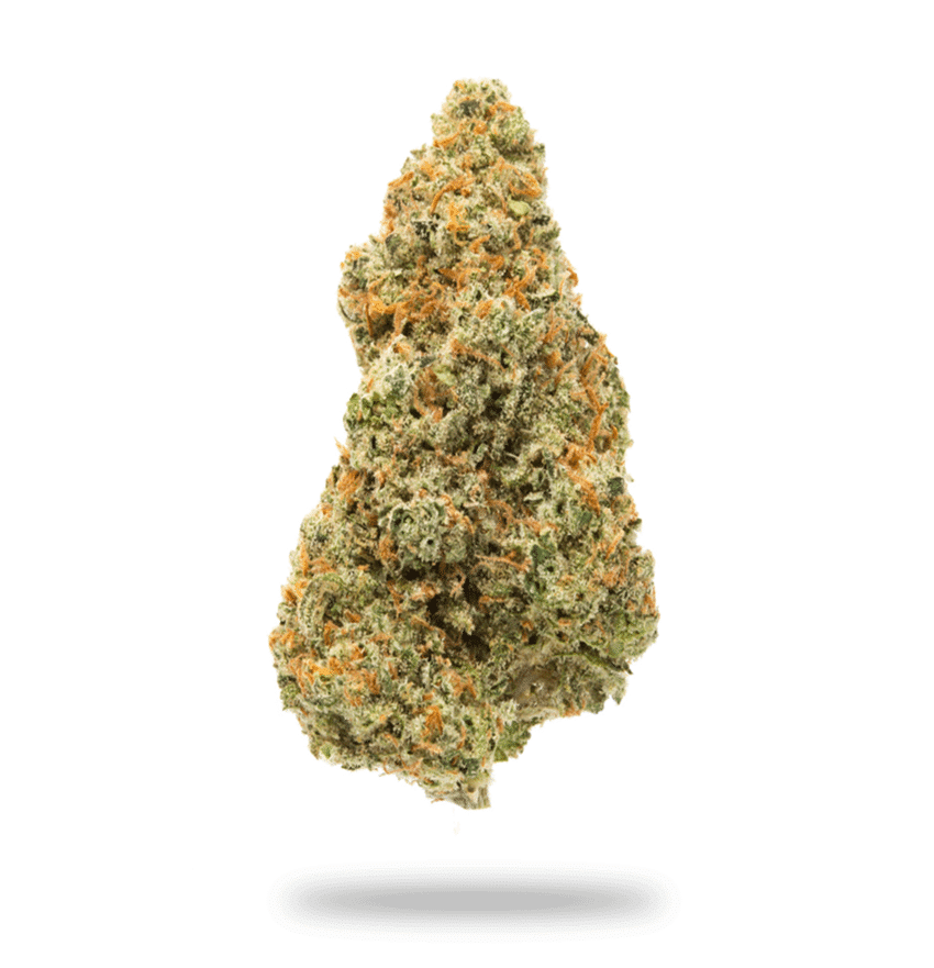 Jack Herer - Sativa Strain