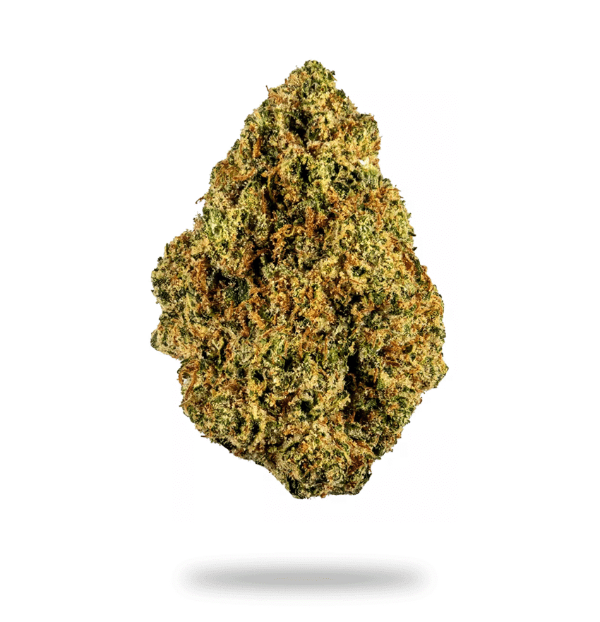 King Tut Cannabis Strain