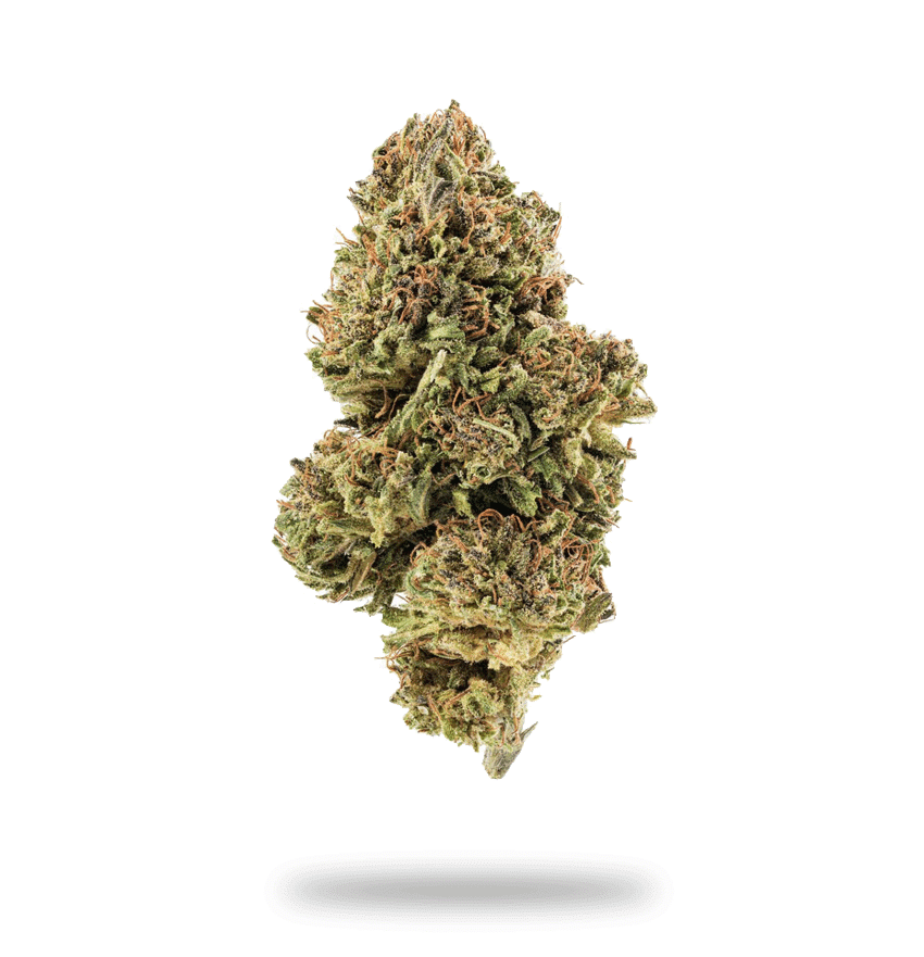 Sour Diesel - Sativa Strain