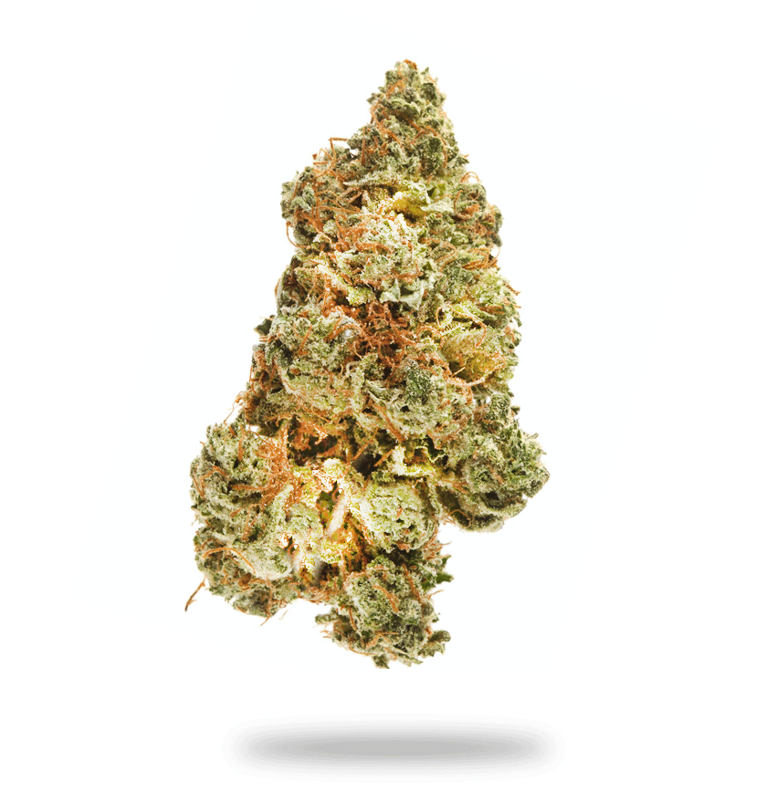 Sapphire OG Cannabis Strain