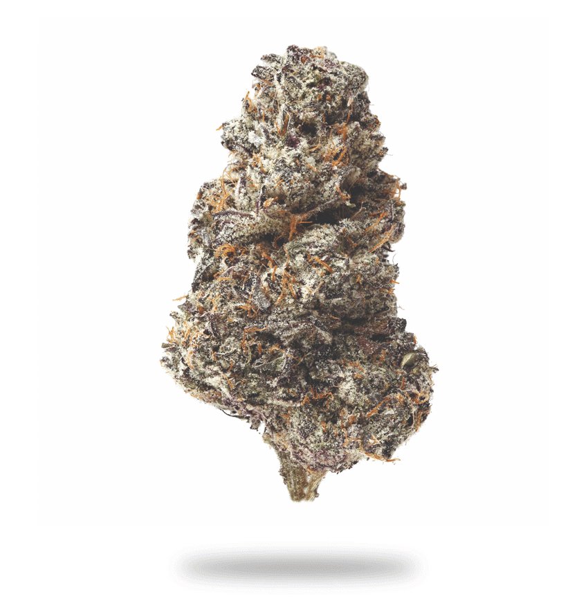 Violet Delight - Indica Strain