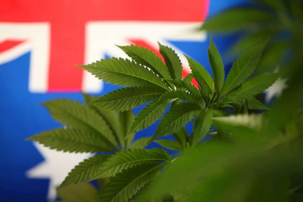 Import cannabis to Australia