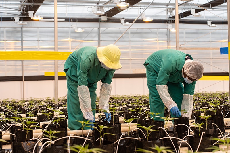 Propagation