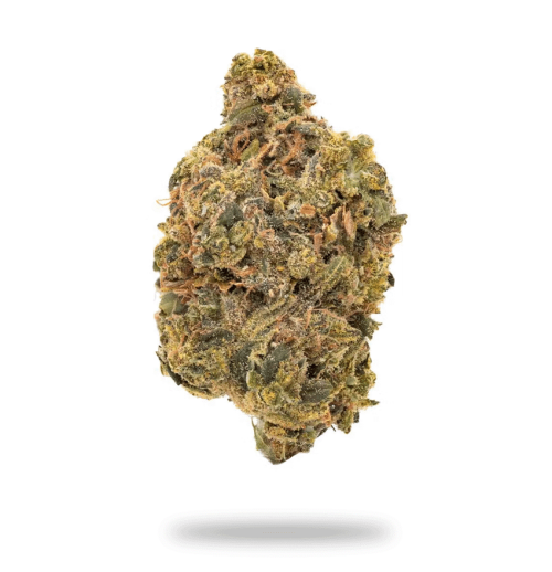 Acapulco Gold Cannabis Strain