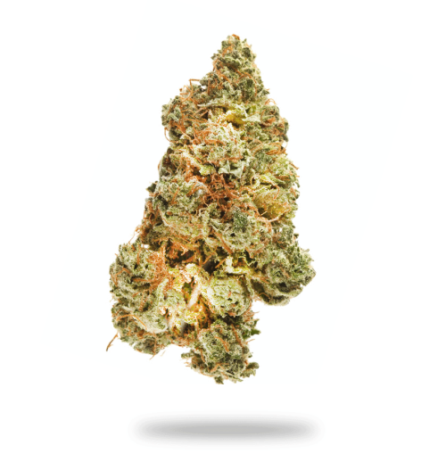 Sapphire OG Cannabis Strain