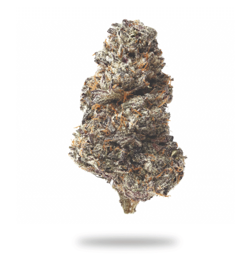 Violet Delight - Indica Strain